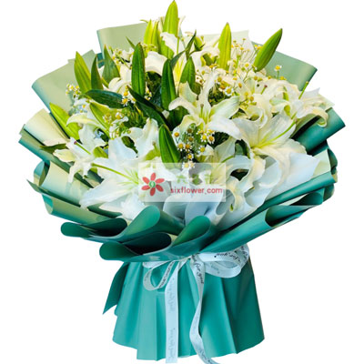 十堰8支白色多头百合洋甘菊，如潮的思念