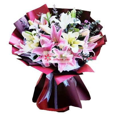 十堰8支百合花，天天开心